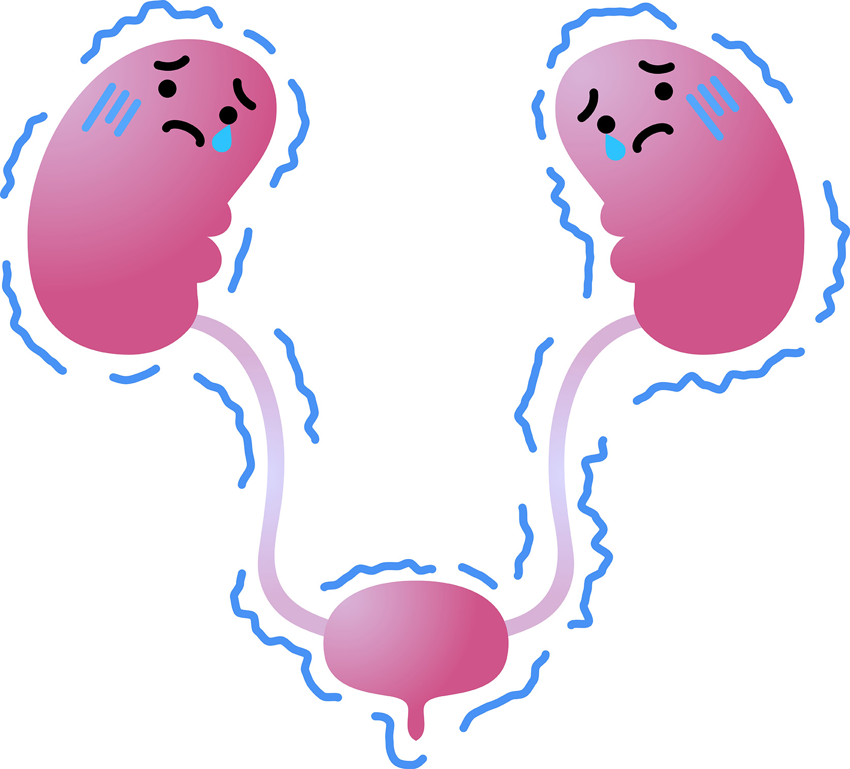 Bladder & Urinary Disorders
